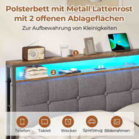 DE.SIKAIC Bettgestell mit LED-Beleuchtung, USB-Ladefunktion, Stauraum-Kopfteil und Stauraum unter dem Bett, Grau